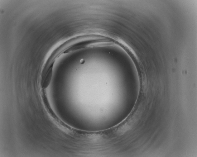 X0000080721085200612151153