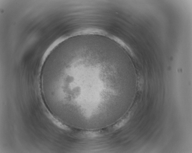 X0000080721086200612151153