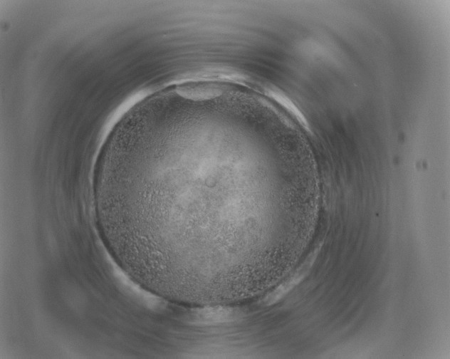 X0000080721087200612151153