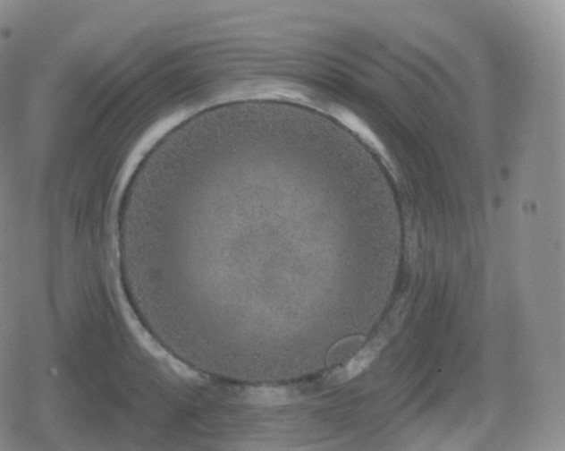 X0000080721088200612151153