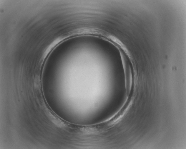 X0000080721089200612151153