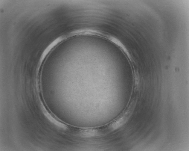 X0000080721090200612151153