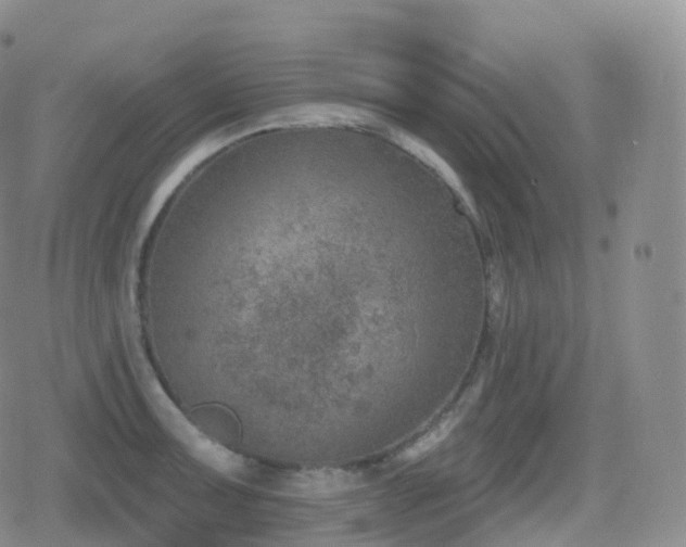 X0000080721091200612151153