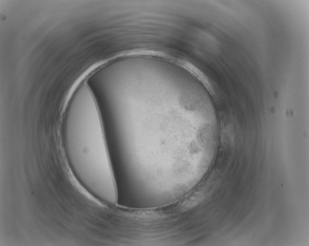 X0000080721092200612151153