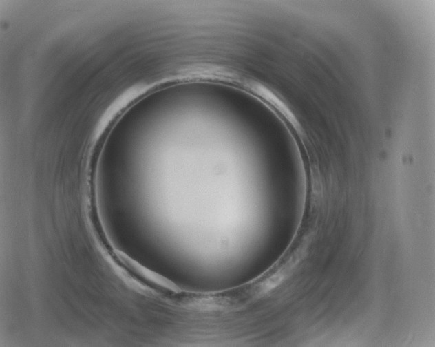 X0000080721093200612151153