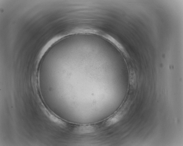 X0000080721094200612151153