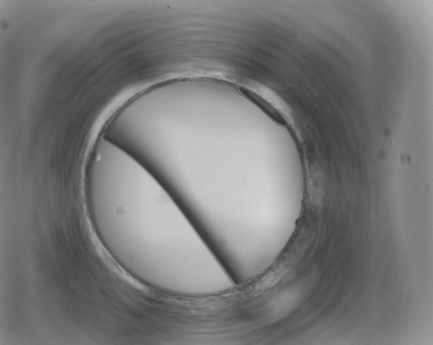 X0000080721096200612151153