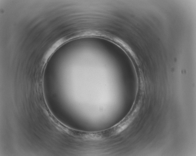 X0000080721097200612151153