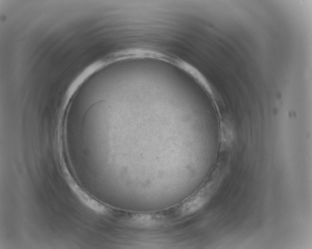 X0000080721098200612151152