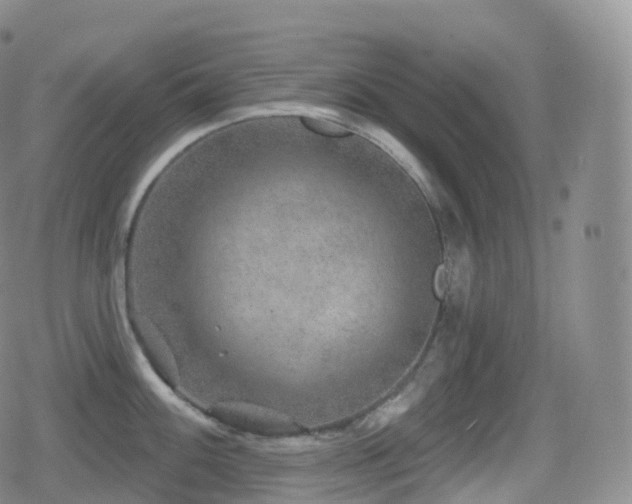 X0000080721100200612151152