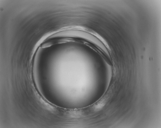 X0000080721102200612151152