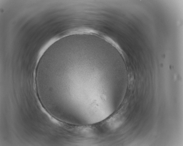 X0000080721103200612151152