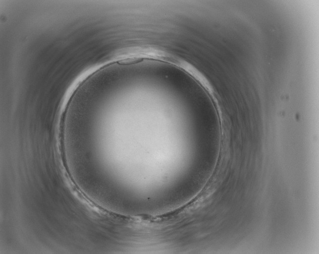 X0000080721104200612151152