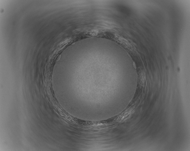 X0000080721105200612151152