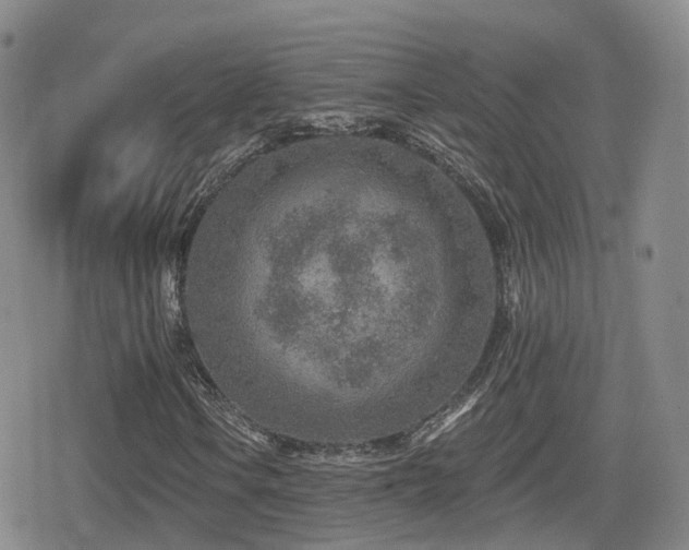 X0000080721106200612151152