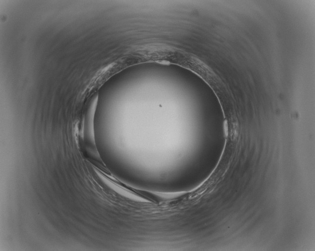 X0000080721108200612151152