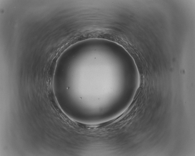 X0000080721109200612151152