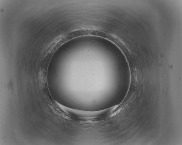 X0000080721110200612151152