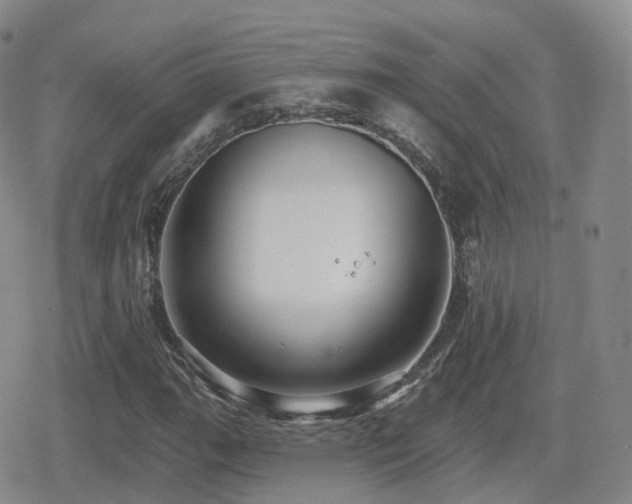 X0000080721111200612151152