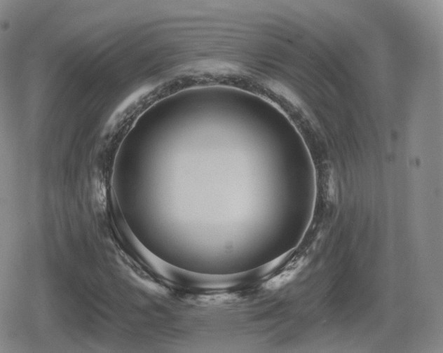 X0000080721112200612151152