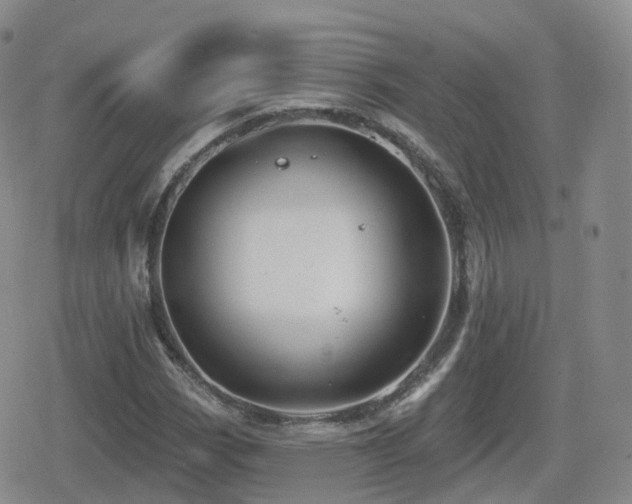 X0000080721113200612151152