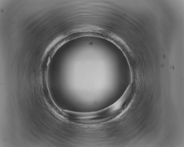 X0000080721114200612151152