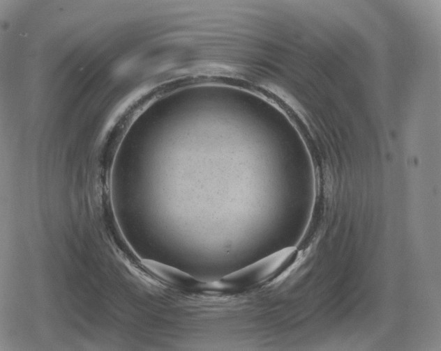 X0000080721115200612151152