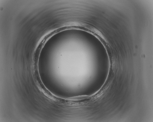 X0000080721116200612151152