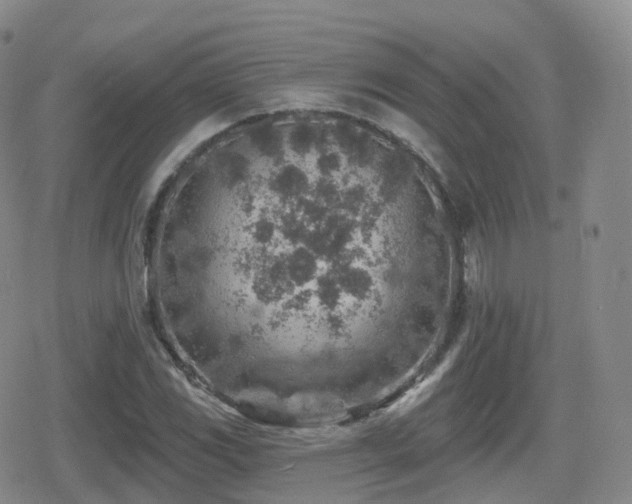 X0000080721117200612151152