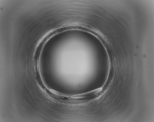 X0000080721118200612151152