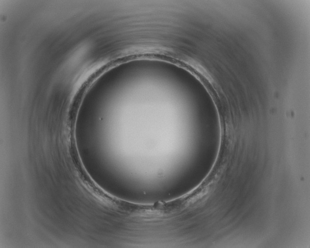 X0000080721119200612151152