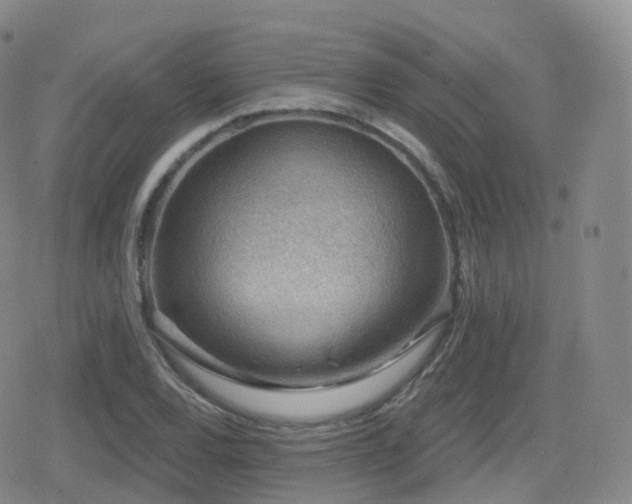 X0000080721120200612151152