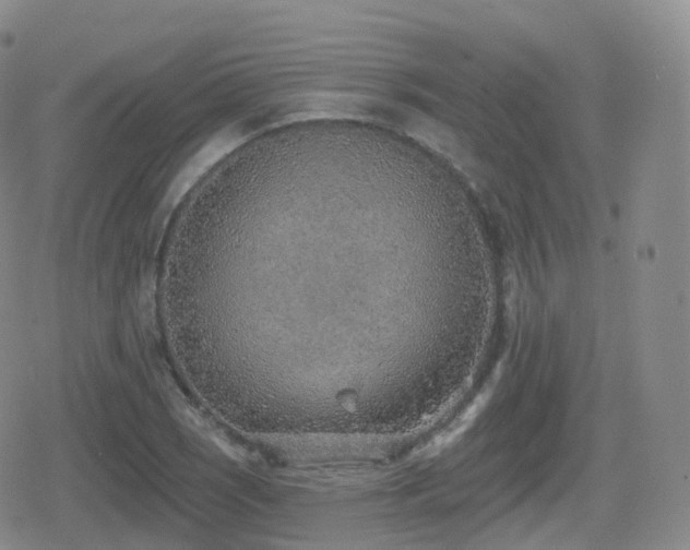 X0000080721121200612151152