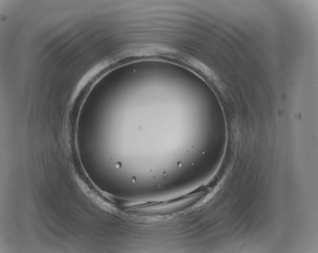 X0000080721122200612151152