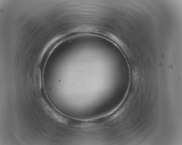 X0000080721123200612151152