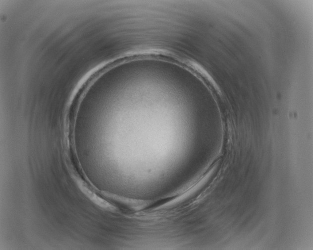 X0000080721124200612151152