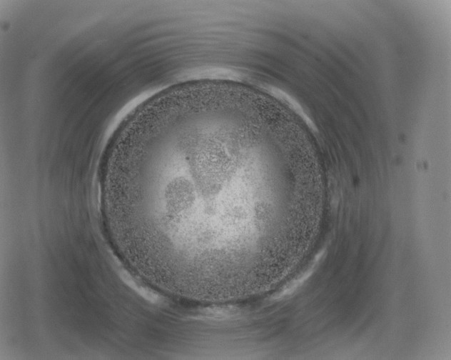 X0000080721125200612151152