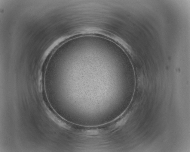 X0000080721126200612151152