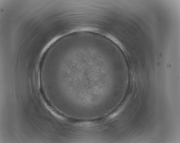 X0000080721127200612151152