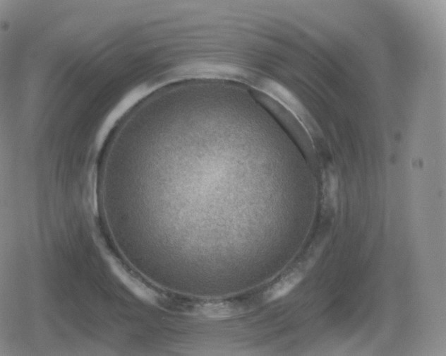 X0000080721128200612151152