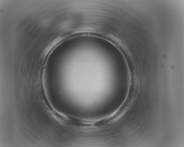 X0000080721129200612151152