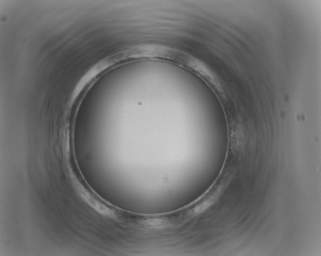 X0000080721130200612151152