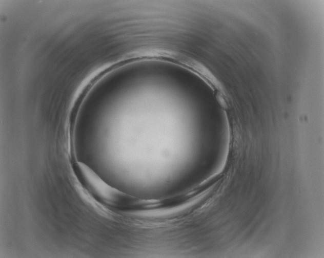 X0000080721132200612151152