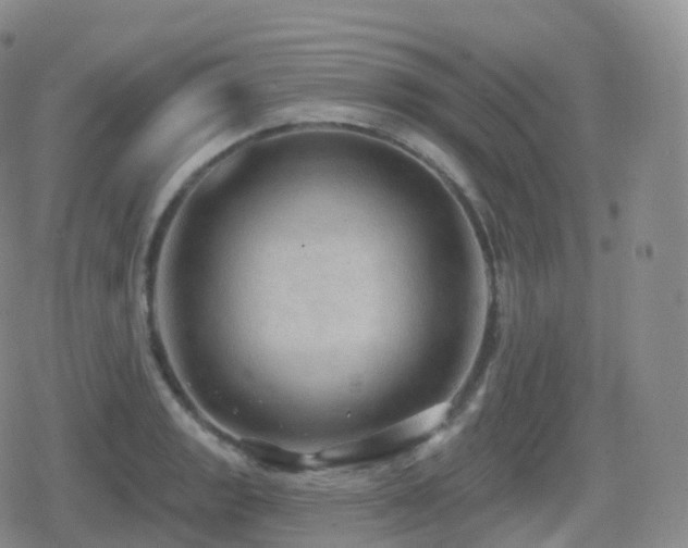 X0000080721133200612151152