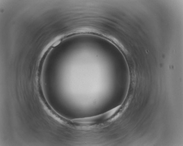 X0000080721134200612151152