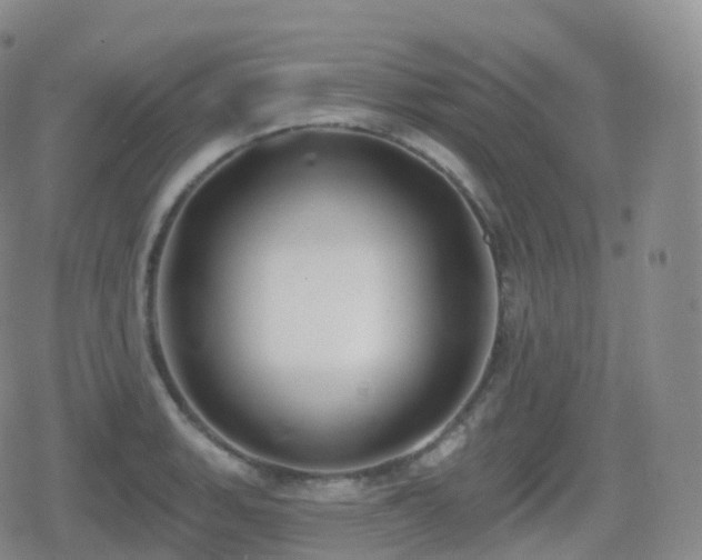 X0000080721135200612151152