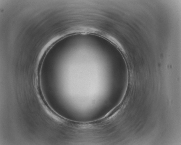 X0000080721136200612151152