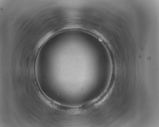 X0000080721137200612151152