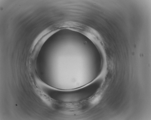 X0000080721138200612151152