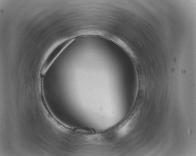 X0000080721140200612151152